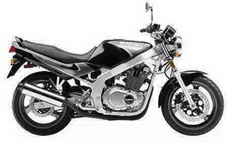 Suzuki GS 500E 1993